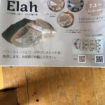 出店が決まりました